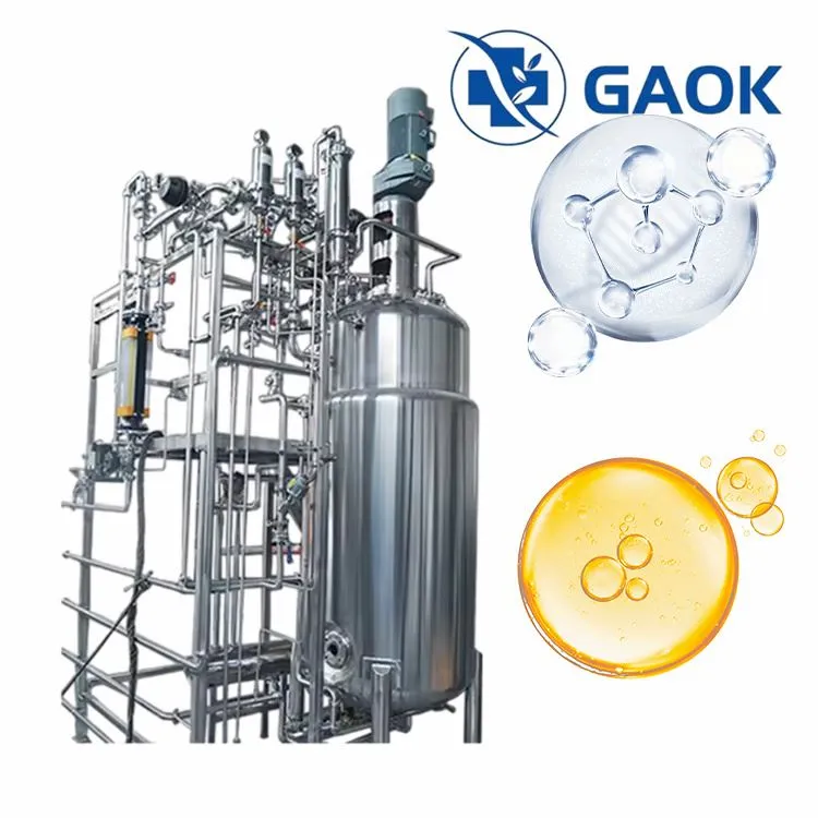 バイオテクノロジー発酵槽