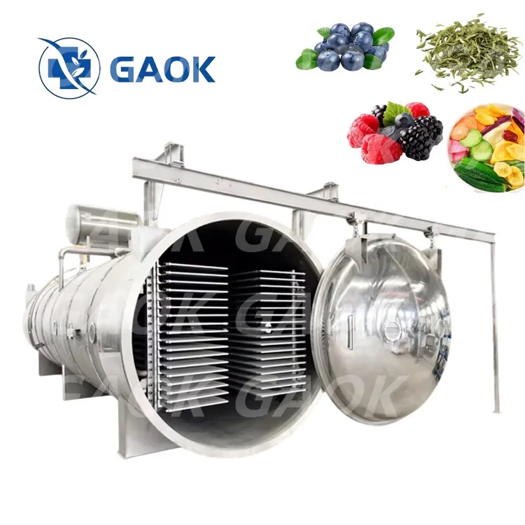 野菜、果物、肉類の凍結乾燥機